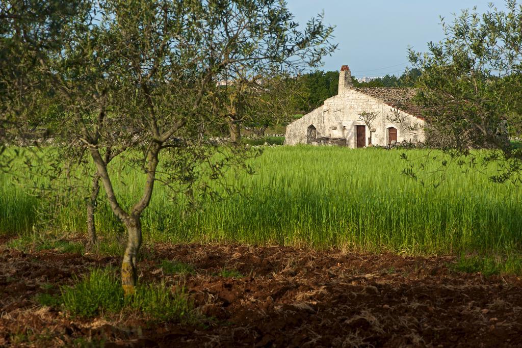 Masseria Ciavea Gioia Del Colle Bagian luar foto
